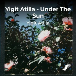 yigit_atilla_under_the_sun